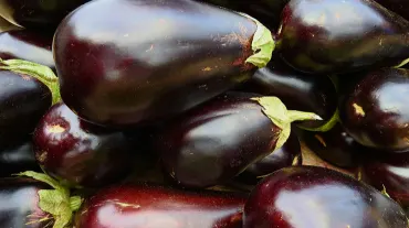 Black Brinjal